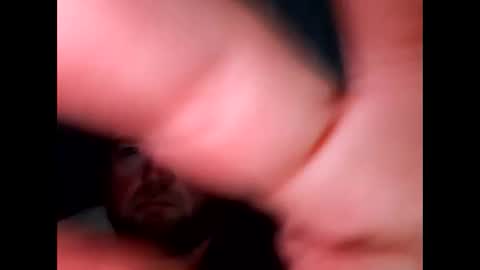 BigDan online show from 03/16/26, 06:34