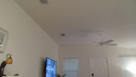 Dominick online show from 07/06/26, 11:07