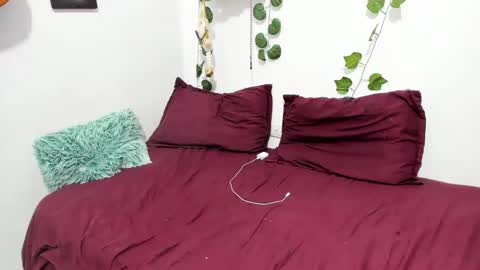 Ariamapola88 online show from 02/05/25, 04:06