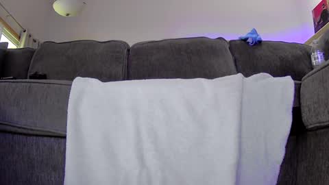 Snapshot of thegreat6268469 chatting on 09/12/25, 11:37 thegreat6268469 online show from 09/12/25, 11:37