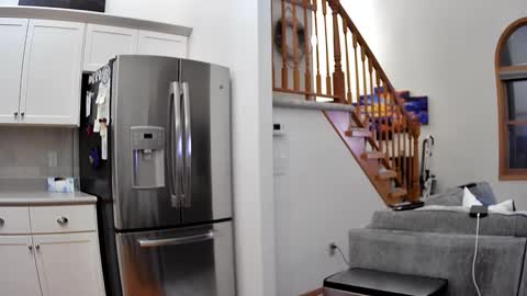 thegreat6268469 online show from 12/03/25, 03:58