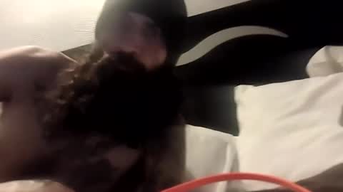 theh4iryfi5h online show from 02/21/26, 12:28