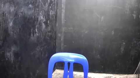 Xerxis online show from 03/10/25, 02:37