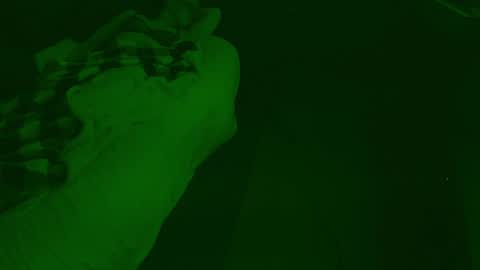 Snapshot of thehungmantis chatting on 12/26/24, 04:32 thehungmantis online show from 12/26/24, 04:32