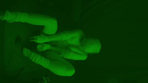 Snapshot of thehungmantis chatting on 02/06/25, 04:31 thehungmantis online show from 02/06/25, 04:31