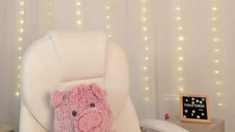 Snapshot of thekatemess_ chatting on 06/04/26, 04:07 Katie. Kate is the name I go by. online show from 06/04/26, 04:07