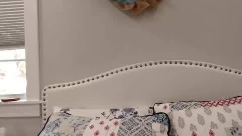 Snapshot of thelipsdown chatting on 12/01/24, 06:19 Lacey online show from 12/01/24, 06:19