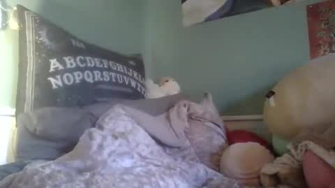 Little Bambii online show from 12/13/24, 06:49