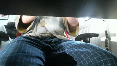 thelittleteaser online show from 04/20/26, 02:42