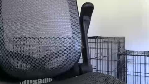 themaneb online show from 10/23/25, 02:49