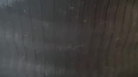 Lucy Lucy online show from 11/22/25, 03:22