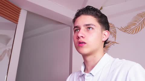 Snapshot of theohawke_ chatting on 01/28/25, 01:49 THEO- MATEO online show from 01/28/25, 01:49