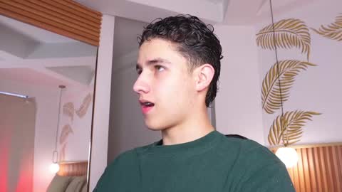 Snapshot of theohawke_ chatting on 02/05/25, 01:11 THEO- MATEO online show from 02/05/25, 01:11