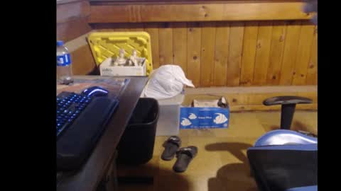 therealbigcheese0695 online show from 10/29/25, 08:21