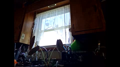 therizzler_1_of_1 online show from 09/11/25, 06:30