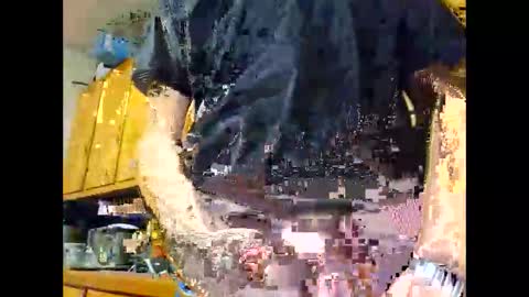 therizzler_1_of_1 online show from 10/22/25, 04:35