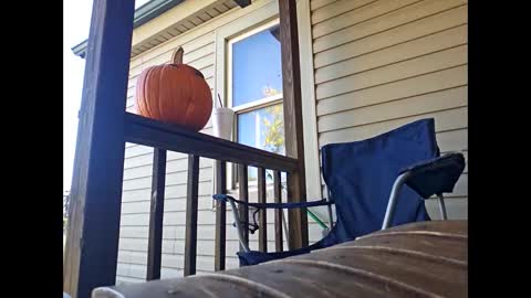 therizzler_1_of_1 online show from 10/22/25, 07:57