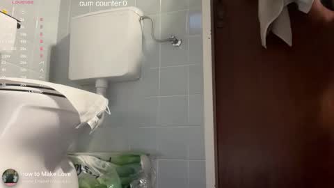 Snapshot of thesearchofgod chatting on 02/12/26, 04:24 LISA online show from 02/12/26, 04:24