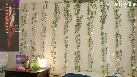 Tiny Blue online show from 02/12/25, 05:48