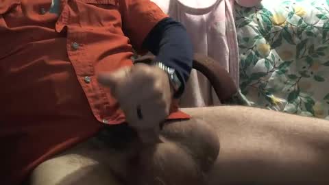 thetnguy online show from 12/23/24, 06:27