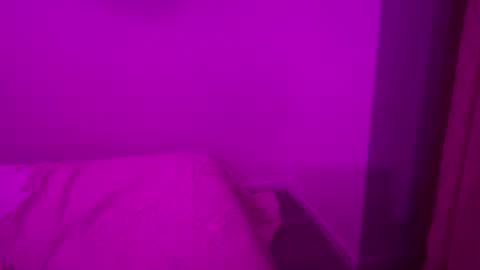 The Wild Wonderland online show from 01/08/26, 02:14