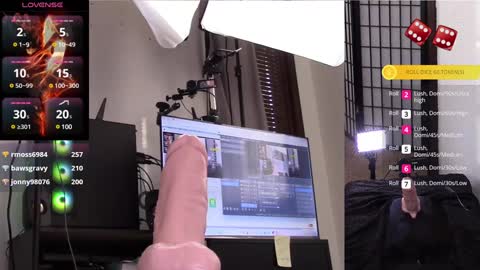 Snapshot of thewillowfox chatting on 01/28/25, 09:08 The Willow Fox online show from 01/28/25, 09:08