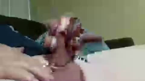 thickcurve79 online show from 06/30/26, 04:02