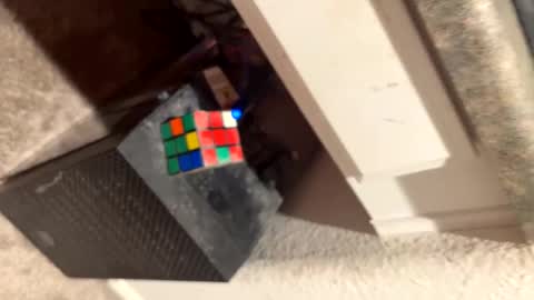 Snapshot of thicknswole chatting on 03/06/25, 08:08 Thiccccc online show from 03/06/25, 08:08