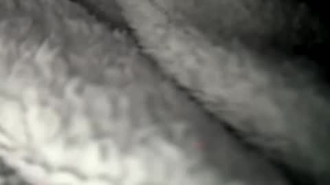 thickuncut7148704 online show from 02/07/25, 09:16