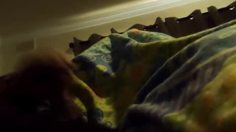 thisbloke96 online show from 02/10/26, 04:38