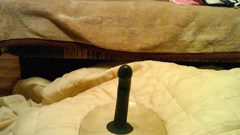 Thongsandstocking online show from 12/01/25, 11:21