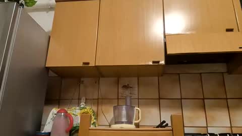 Snapshot of thunderflash73 chatting on 11/10/25, 05:34 Little Wolf online show from 11/10/25, 05:34