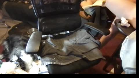 thundersword online show from 03/08/25, 07:09