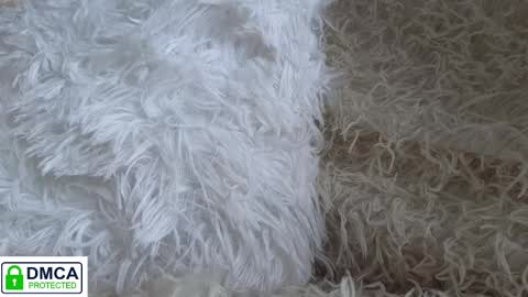 Snapshot of tia_j chatting on 01/16/25, 11:58 tia_j online show from 01/16/25, 11:58