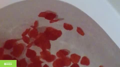 Snapshot of tia_j chatting on 10/12/25, 11:20 tia_j online show from 10/12/25, 11:20