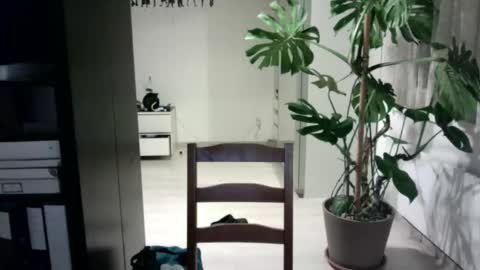 tiburzio online show from 04/05/26, 10:18