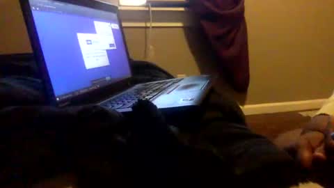 Tierra Henri online show from 02/02/25, 03:49