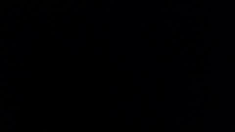 Tiffany Brewer online show from 03/14/26, 11:43