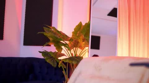 Tiff online show from 03/01/26, 04:14