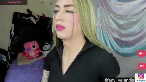  Tefy velandia  online show from 11/28/25, 10:45