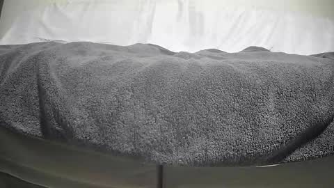 Casey online show from 09/29/25, 04:12