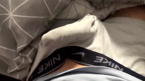 Timur online show from 04/04/26, 10:07