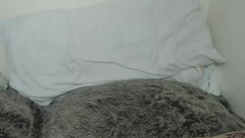 Tina online show from 02/09/25, 09:49