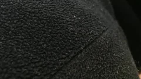 tinyslut66 online show from 11/17/25, 10:59