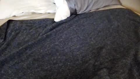 tinywithtiddies online show from 04/25/26, 04:04
