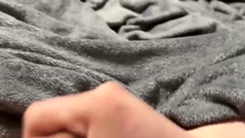 Snapshot of tmue chatting on 02/15/26, 02:58 tmue online show from 02/15/26, 02:58