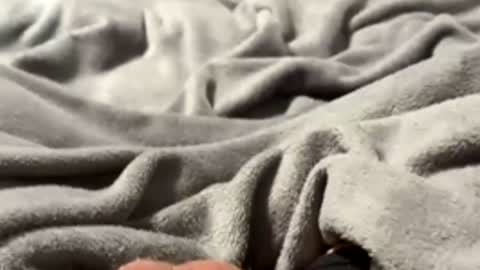 Snapshot of tmue chatting on 02/27/26, 01:33 tmue online show from 02/27/26, 01:33