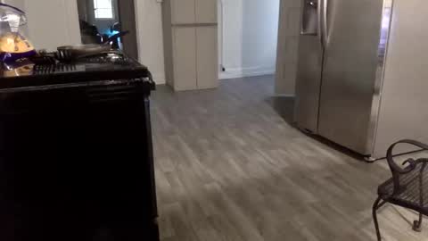 tnich28 online show from 01/14/26, 11:42