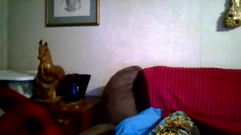 Vols online show from 01/17/26, 11:52