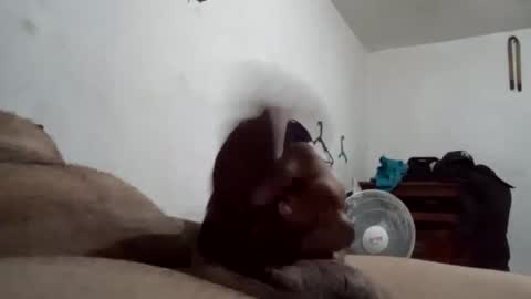 tobe557337 online show from 12/17/24, 07:29